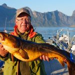 Understanding Fish Behavior and Feeding Patterns