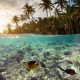 underwater-scene-with-reef-and-tropical-fish-small
